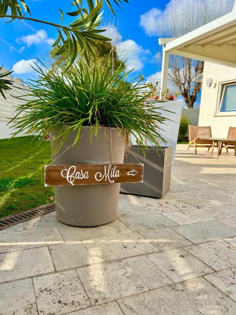 Villa Casa Mila White à Marina di Cerveteri Extérieur photo