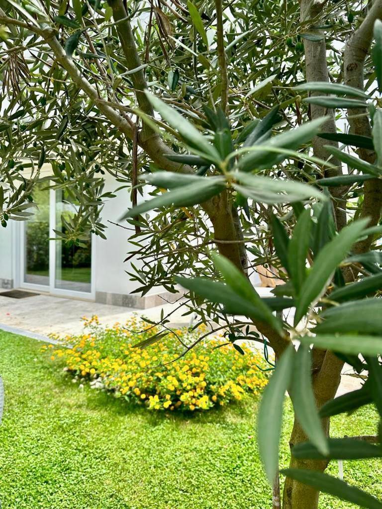 Villa Casa Mila White à Marina di Cerveteri Extérieur photo